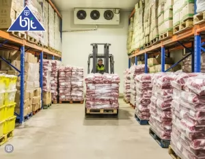 Cold Storage Freezer untuk Simpan Daging Kurban